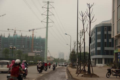 Hà[-]Nội:[-]Cây[-]mới[-]trồng[-]đang[-]chết[-]hàng[-]loạt